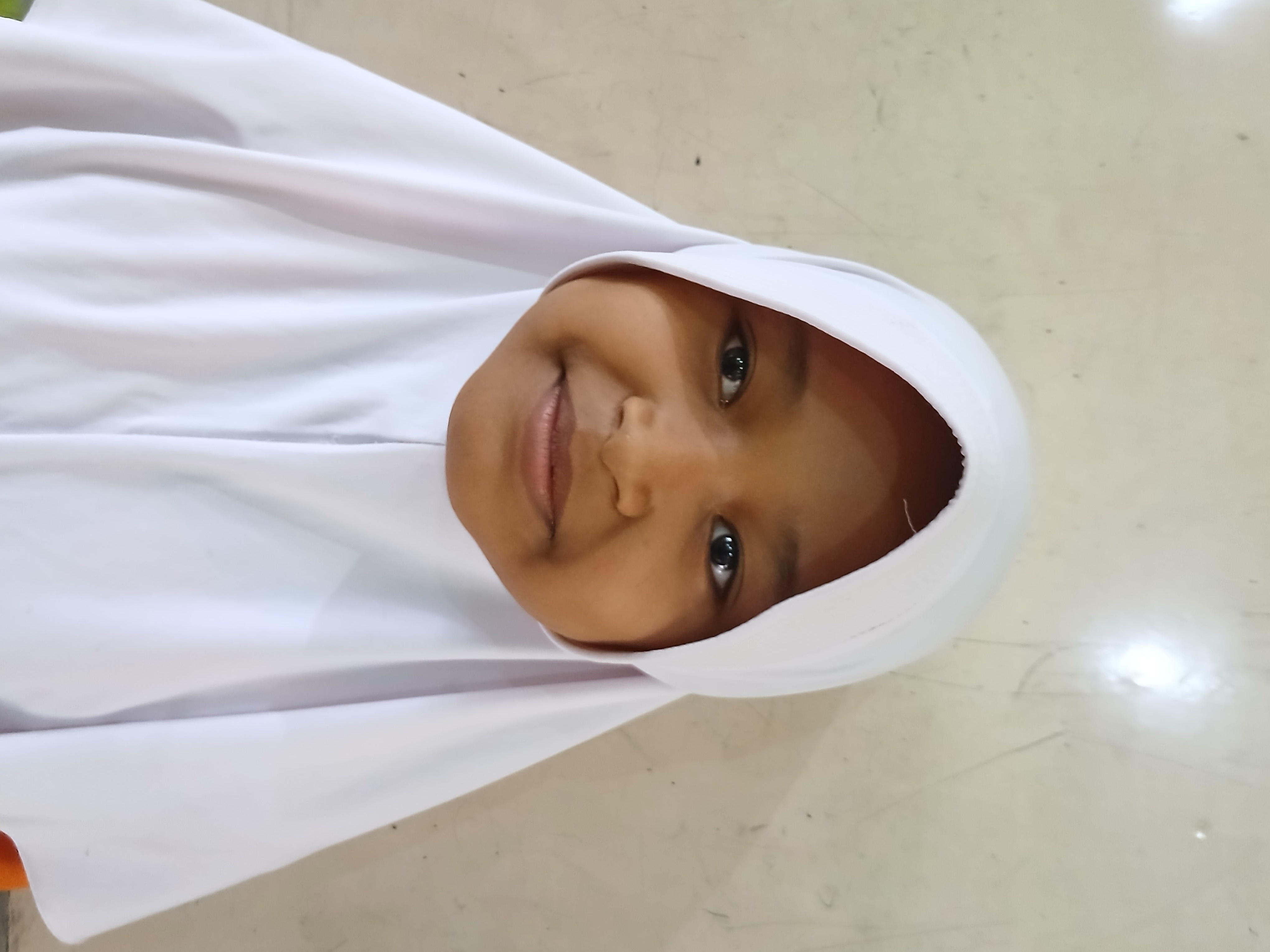 Bilqis Ayudia Inara